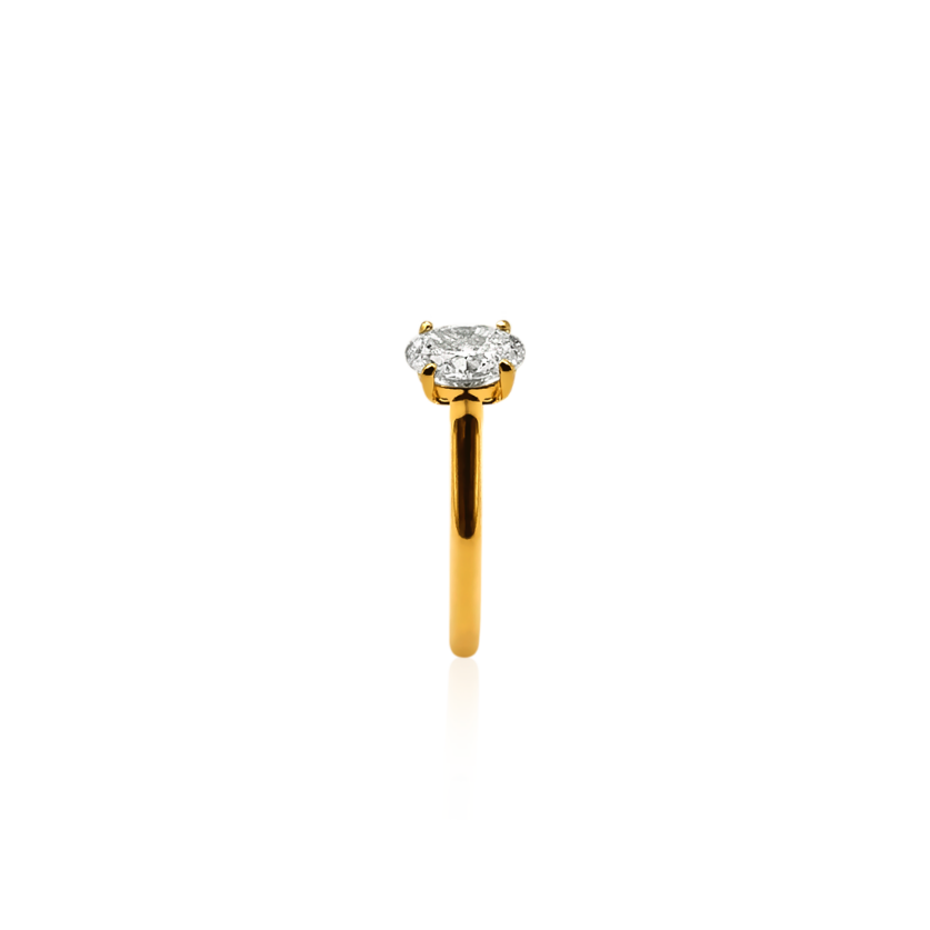 Koutisse Ballota Oval Engagement Ring | 18ct Yellow Gold